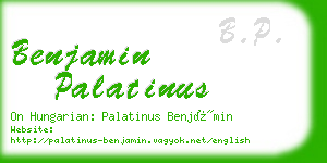 benjamin palatinus business card